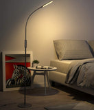 Led Floor Lamp