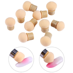 Replacement Ombre Spong Brush - 10pcs