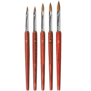 Acrylic Brush - Wood Stem - 5pcs