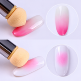 Double Ended Ombre Sponge Brush with 4 Replacement Sponges