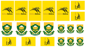 Bafana Bafana Soccer - Water Decals