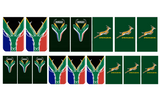 Springbok Rugby - Water Decals