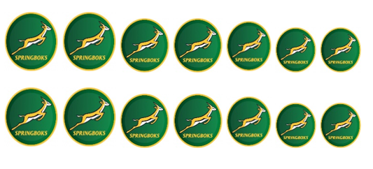Springbok Rugby - Water Decals – Madz Nail & Beauty
