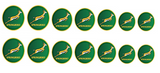 Springbok Rugby - Water Decals