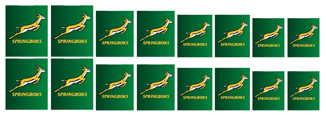 Springbok Rugby - Water Decals – Madz Nail & Beauty