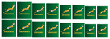 Springbok Rugby - Water Decals