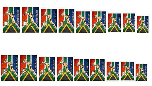 Springbok Rugby - Water Decals – Madz Nail & Beauty