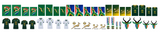 Springbok Rugby 2025 - Water Decals