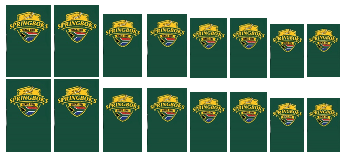 Springbok Rugby - Water Decals – Madz Nail & Beauty