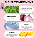 Guangzhou - Onion & Rosemary Biotin - Shampoo & Conditioner