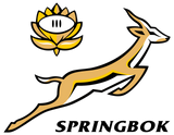 Nail Sticker - Springbok Rugby - Springbok Logo