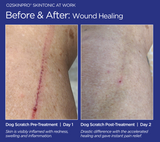 O2SkinPro® - Skin Tonic - Spa Treatment