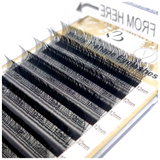 Eyelash Extension - YY - 0.07C - 12mm