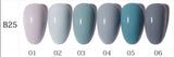 AS - UV Gel Polish - B25 (Grey) Series