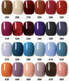 AS- UV Gel Polish - 60pcs Box Set - Free Colour Chart
