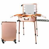 Make-up Trolley Bag/Case With Lights and Blue Tooth Speaker - Rose Gold