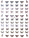 Sticker - Laser Butterfly
