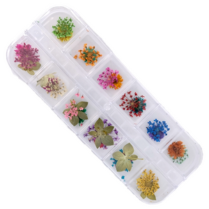 Dry Flowers Nail Décor - Tiny Starry Flowers Mix (Buy 1, Get 1 Free)