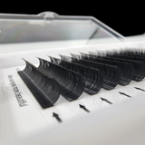 Premium False Eyelashes - Individual - 0.10 D - 10mm