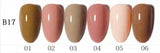 AS - UV Gel Polish - B17 (Nude/Pink/Brown) Series