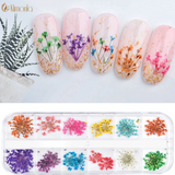 Dry Flowers Nail Décor - Tiny Starry Flowers